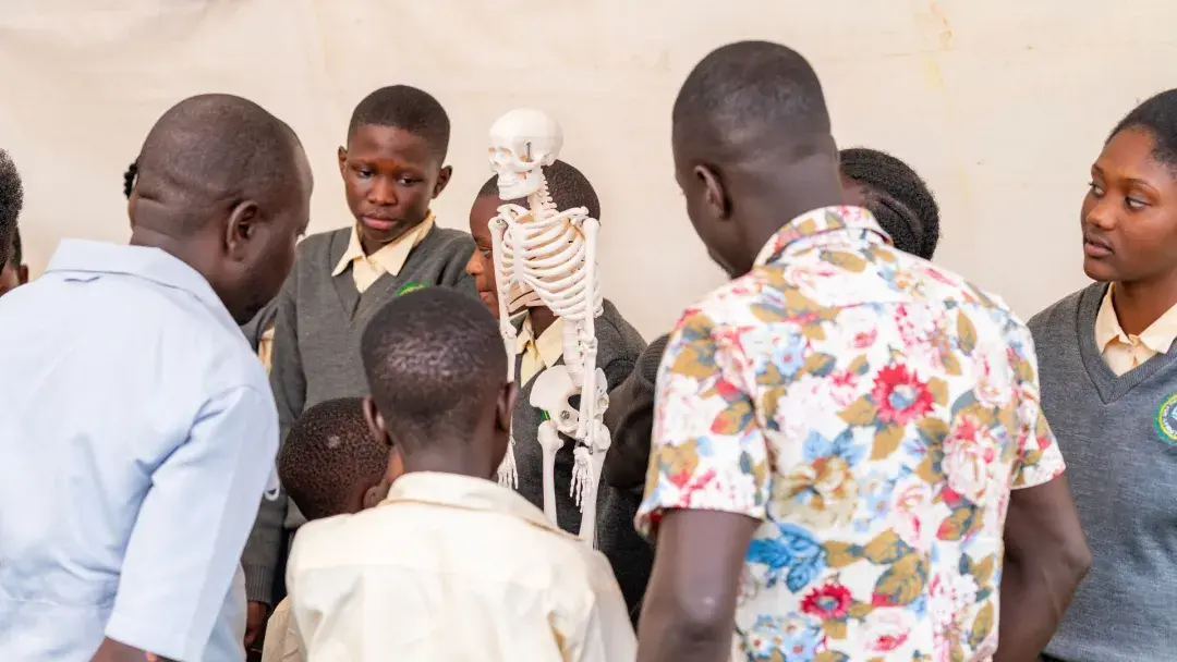 Explaining the skeleton