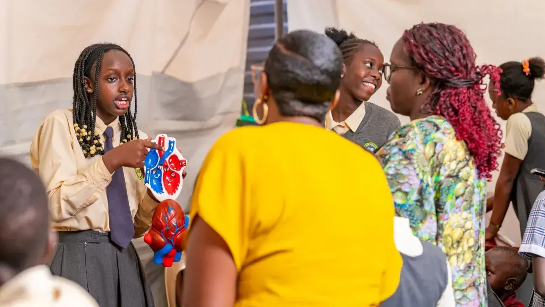 Heart being explained