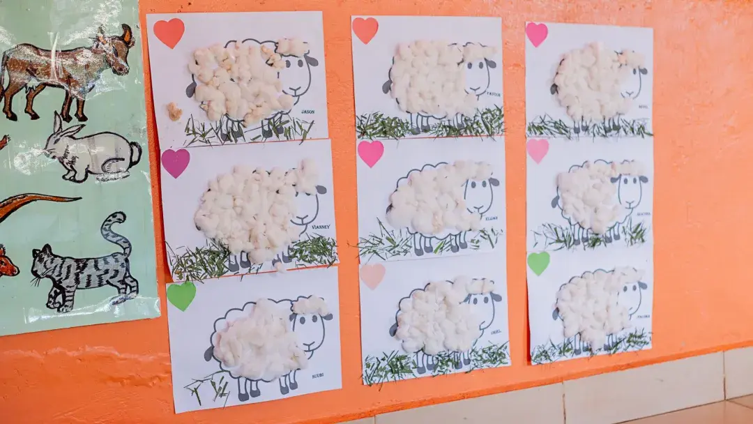 Sheep pasting, Baby C