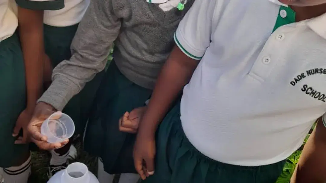 Progress of our vegetable garden