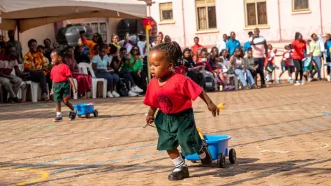 Duck collection game