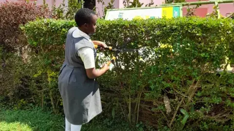 Noella, used a pruner to trim and shape the plant.